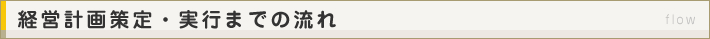 経営計画策定・実行までの流れ